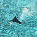 MY SWIMSUIT